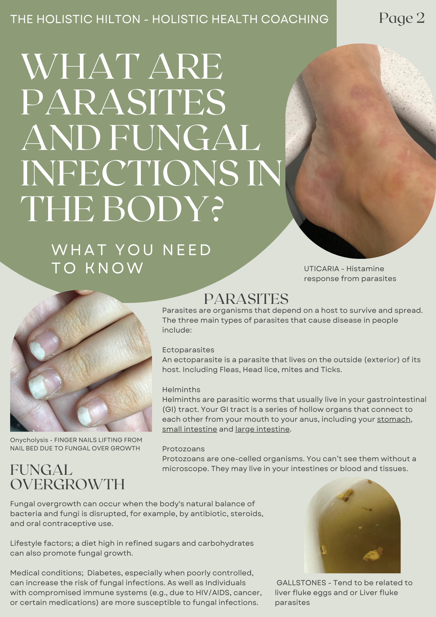 Fungal & Parasite Protocol